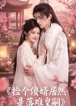 捡个傻婿居然是落难皇嗣高清播放