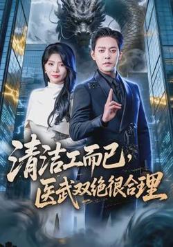 清洁工而已，医武双绝很合理在线观看