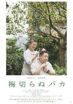不砍梅树的傻瓜在线观看
