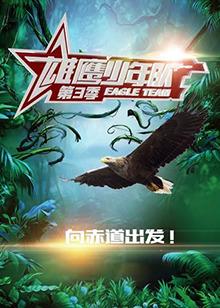 雄鹰少年队第三季高清播放