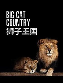 狮子王国在线观看