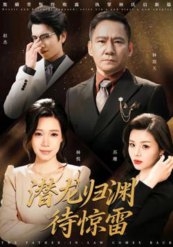 潜龙归渊待惊雷高清播放