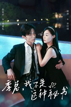 季总，我不是这种秘书（我被老板盯上了）（碰瓷老板后，他狂追我）在线观看
