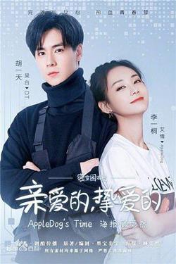 我的时代，你的时代高清播放