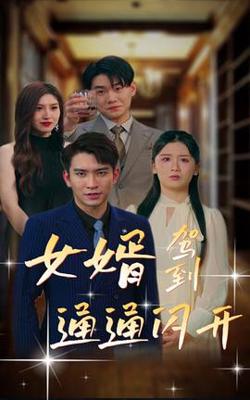 女婿驾到，通通闪开高清播放