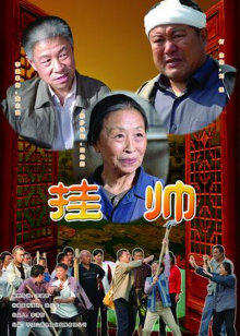 挂帅高清播放