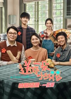 送你一朵小红花 · 特别纪录第一集高清播放