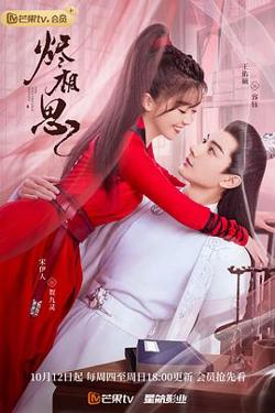 烬相思高清播放