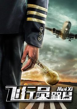 飞行员呆呆鸟高清播放