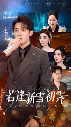 若逢新雪初霁高清播放