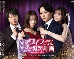 完美妻子的完美复仇计划高清播放
