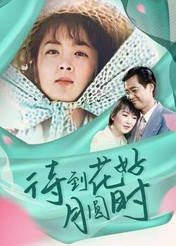 待到花好月圆时高清播放