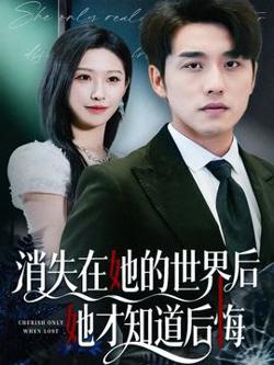 消失在她的世界后她才知道后悔在线观看