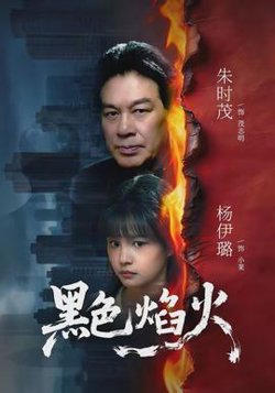 黑色焰火高清播放