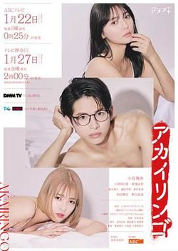 红苹果高清播放