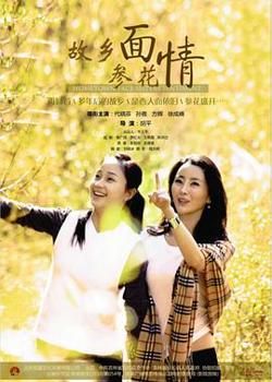 故乡面·参花情高清播放
