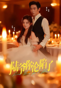 陆爷你沦陷了高清播放