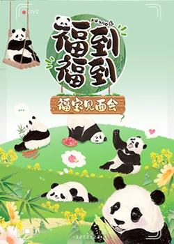 福到福到福宝见面会高清播放