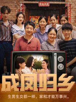 女总裁成凤归乡高清播放
