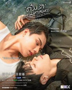 海洋之恋在线观看