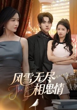 风雪无尽相思情高清播放