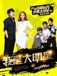 我是大明星高清播放
