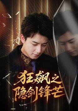 狂飙之隐剑锋芒在线观看