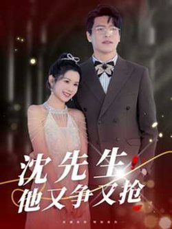沈先生他又争又抢在线观看