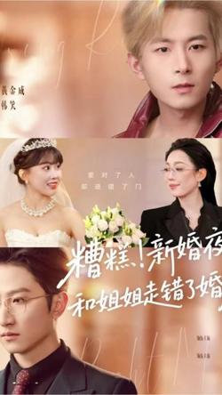 糟糕!新婚夜!和姐姐走错了婚房,糟糕新婚夜和姐姐走错了婚房