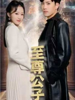 至尊公子在线观看