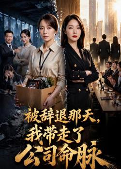 被辞退那天,我带走了公司命脉在线观看