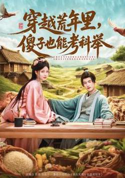 穿越荒年里，傻子也能考科举高清播放