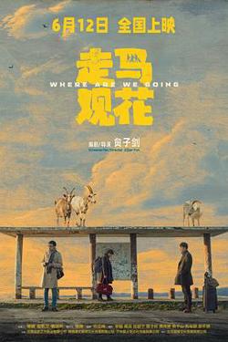 走马观花预告片高清播放