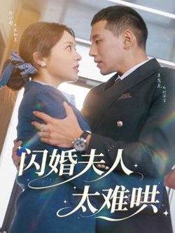 闪婚夫人太难哄高清播放