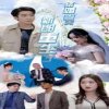 结婚当天新郎重生了(结婚一百零一次)高清播放