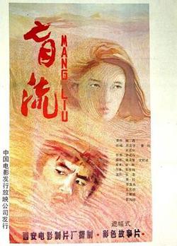 盲流高清播放