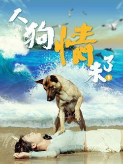 人狗情未了1在线观看