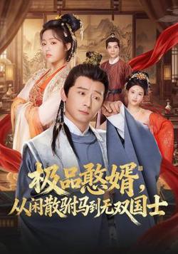极品憨婿，从闲散驸马到无双国士高清播放