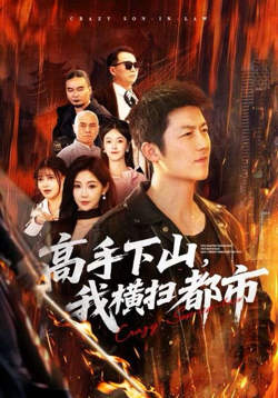 高手下山，我横扫都市在线观看