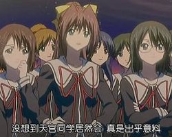 心跳回忆ONLYLOVE高清播放