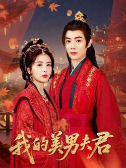 我的美男夫君高清播放