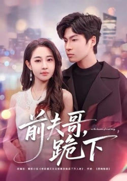 前夫哥，跪下在线观看