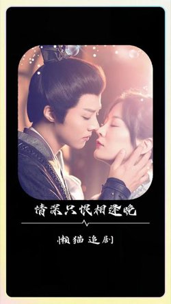 情深只恨相逢晚高清播放