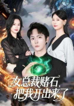 女总栽赌石,把我开出来了