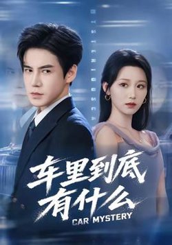 车里到底有什么在线观看