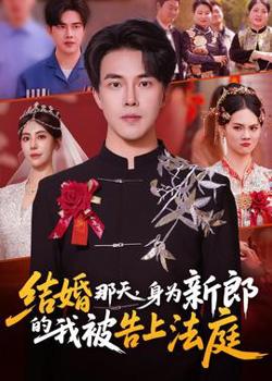 结婚那天,身为新郎的我被告上法庭
