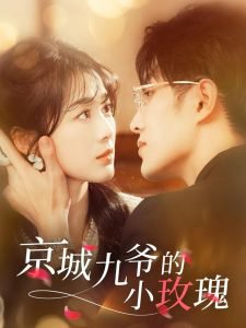 京城九爷的小玫瑰高清播放