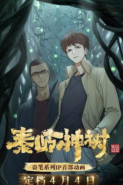 秦岭神树在线观看