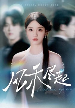 风禾尽起2025