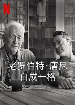 罗伯特·唐尼：自成一格高清播放